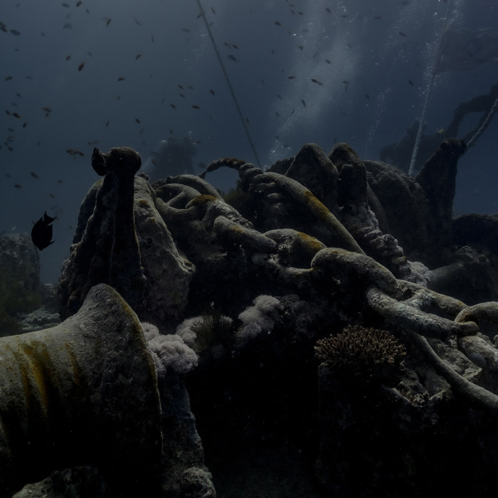 detalle de las cadenas del sistema de elevación del ancla del barco hundido en el mar Rojo, el SS Thistlegorm