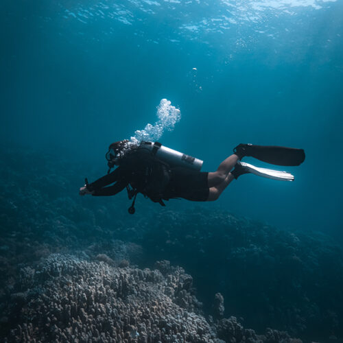 buceador flotando en la cristalina agua del mar rojo, en Dahab
