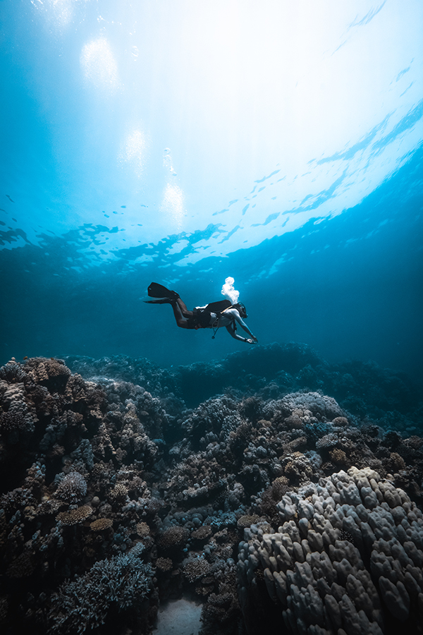 Curso PADI Open Water en Dahab: todo lo que necesitas saber
