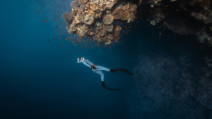 Apnea en aguas abiertas junto a un arrecife de coral en Dahab, Mar Rojo